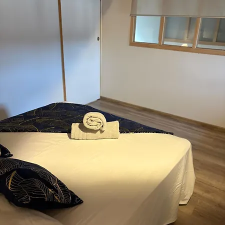 Les Glaneuses - 2 En Centre Bourg De 4 A 10 Personnes A 3 Min Du Puy Dufou *