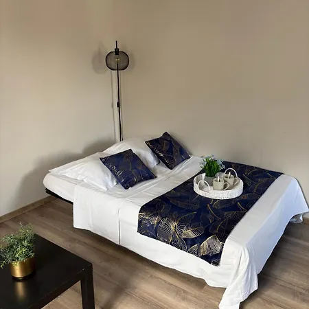 Les Glaneuses - 2 En Centre Bourg De 4 A 10 Personnes A 3 Min Du Puy Dufou Appartement