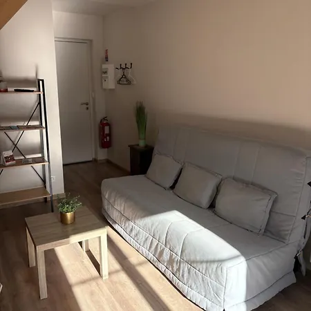 Les Glaneuses - 2 En Centre Bourg De 4 A 10 Personnes A 3 Min Du Puy Dufou *