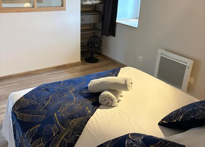 Les Glaneuses - 2 En Centre Bourg De 4 A 10 Personnes A 3 Min Du Puy Dufou *