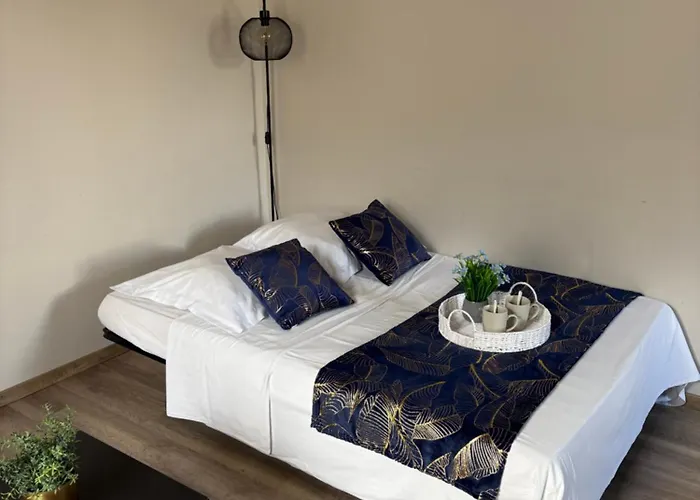 Les Glaneuses - 2 En Centre Bourg De 4 A 10 Personnes A 3 Min Du Puy Dufou Apartamento