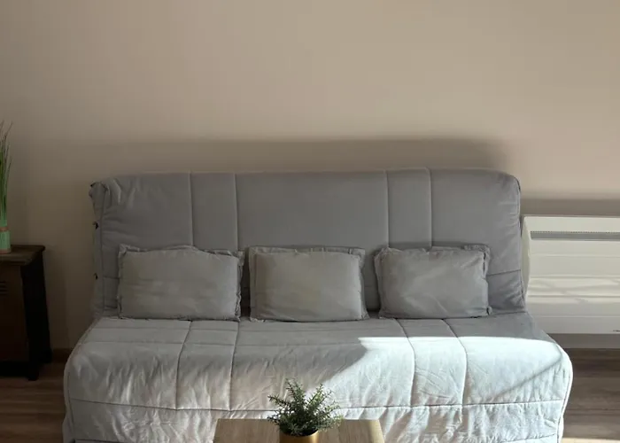 Les Glaneuses - 2 En Centre Bourg De 4 A 10 Personnes A 3 Min Du Puy Dufou