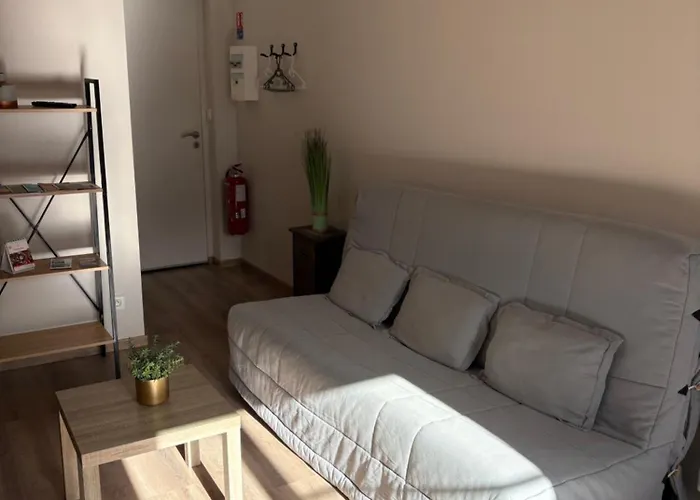 Les Glaneuses - 2 En Centre Bourg De 4 A 10 Personnes A 3 Min Du Puy Dufou *