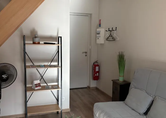 Les Glaneuses - 2 En Centre Bourg De 4 A 10 Personnes A 3 Min Du Puy Dufou