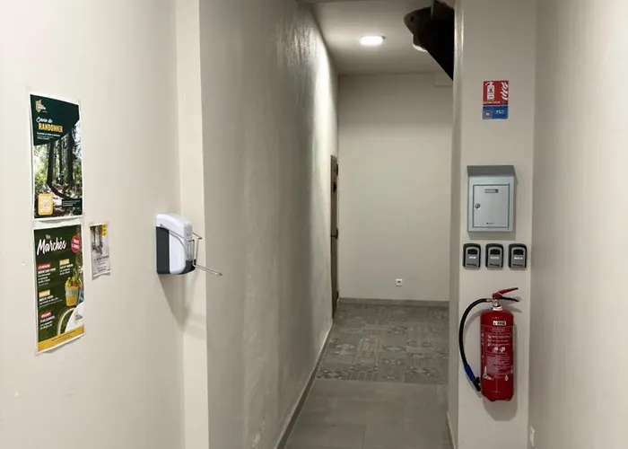 Les Glaneuses - 2 En Centre Bourg De 4 A 10 Personnes A 3 Min Du Puy Dufou Apartamento